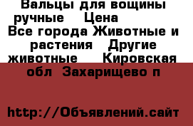 Вальцы для вощины ручные  › Цена ­ 10 000 - Все города Животные и растения » Другие животные   . Кировская обл.,Захарищево п.